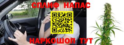 молекула духа Владикавказ