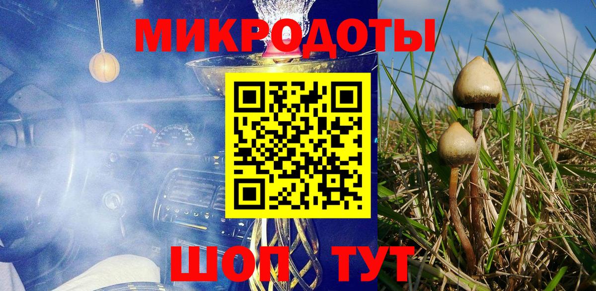 Псилоцибиновые грибы Psilocybe Благодарный