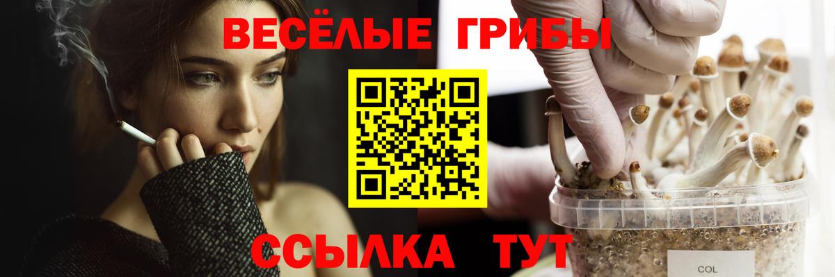 Псилоцибиновые грибы мицелий  Вход с VPN  купить   Благодарный 